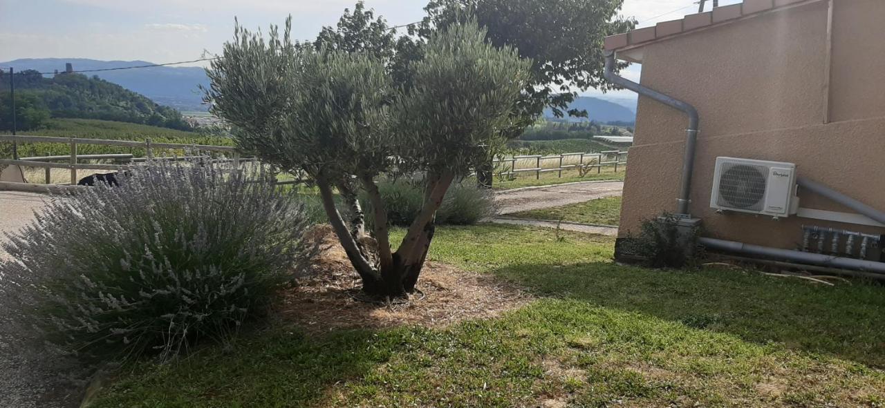 Le Pressoir Villa Mercurol-Veaunes Екстериор снимка